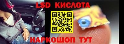 прущие грибы Будённовск