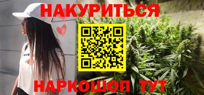 прущие грибы Будённовск