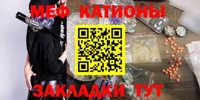 прущие грибы Будённовск