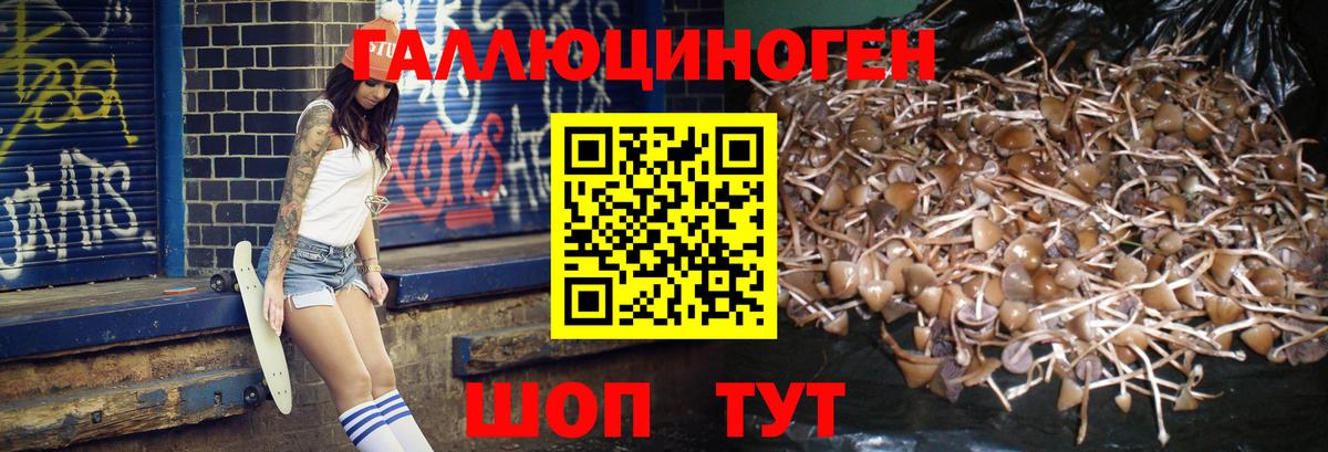 Набережные Челны  Галлюциногенные грибы ЛСД  Вход с VPN  Галлюциногенные грибы GOLDEN TEACHER 